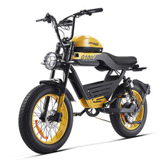HappyRun G100 Electric Bike