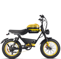 HappyRun G100 Electric Bike