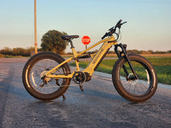Velowave Brawny XM MTB