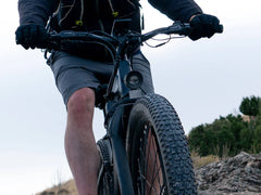 Velowave Forest XM