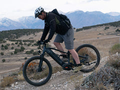 Velowave Forest XM