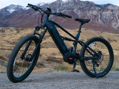 Velowave Forest XM